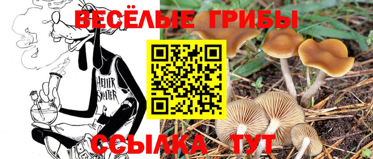 Псилоцибиновые грибы мухоморы  Псилоцибиновые грибы Cubensis  Вход с VPN  Аргун 