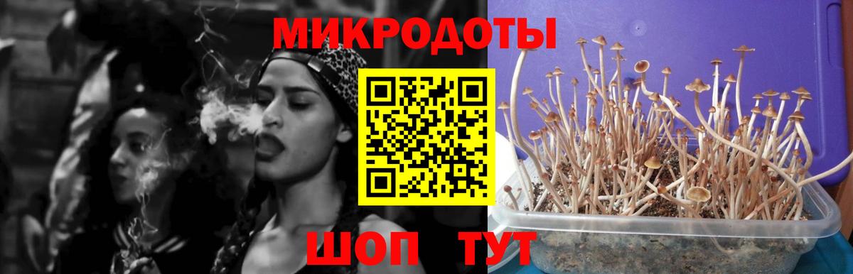 Псилоцибиновые грибы MAGIC MUSHROOMS Аргун
